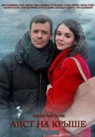 Аист на крыше Сериал 2021