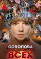 Соколова подозревает всех 1 Сезон Сериал 2022