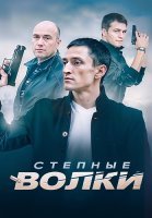 Степные волки Сериал 2016