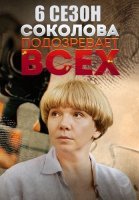 Соколова подозревает всех 6 Сезон Сериал 2025