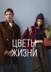 Цветы жизни Сериал 2024