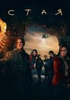 Стая Сериал 2022 Россия
