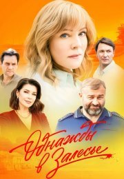 Однажды в Залесье Сериал 2025 2024