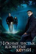 Нежные листья ядовитые корни Сериал 2019