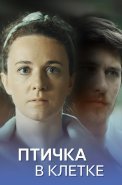 Птичка в клетке Сериал 2020