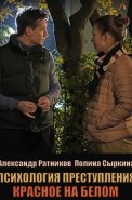 Психология преступления Красное на белом Сериал 2022